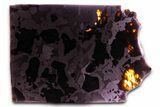 Seymchan Pallasite Meteorite Slice ( g) - Russia #382884-1